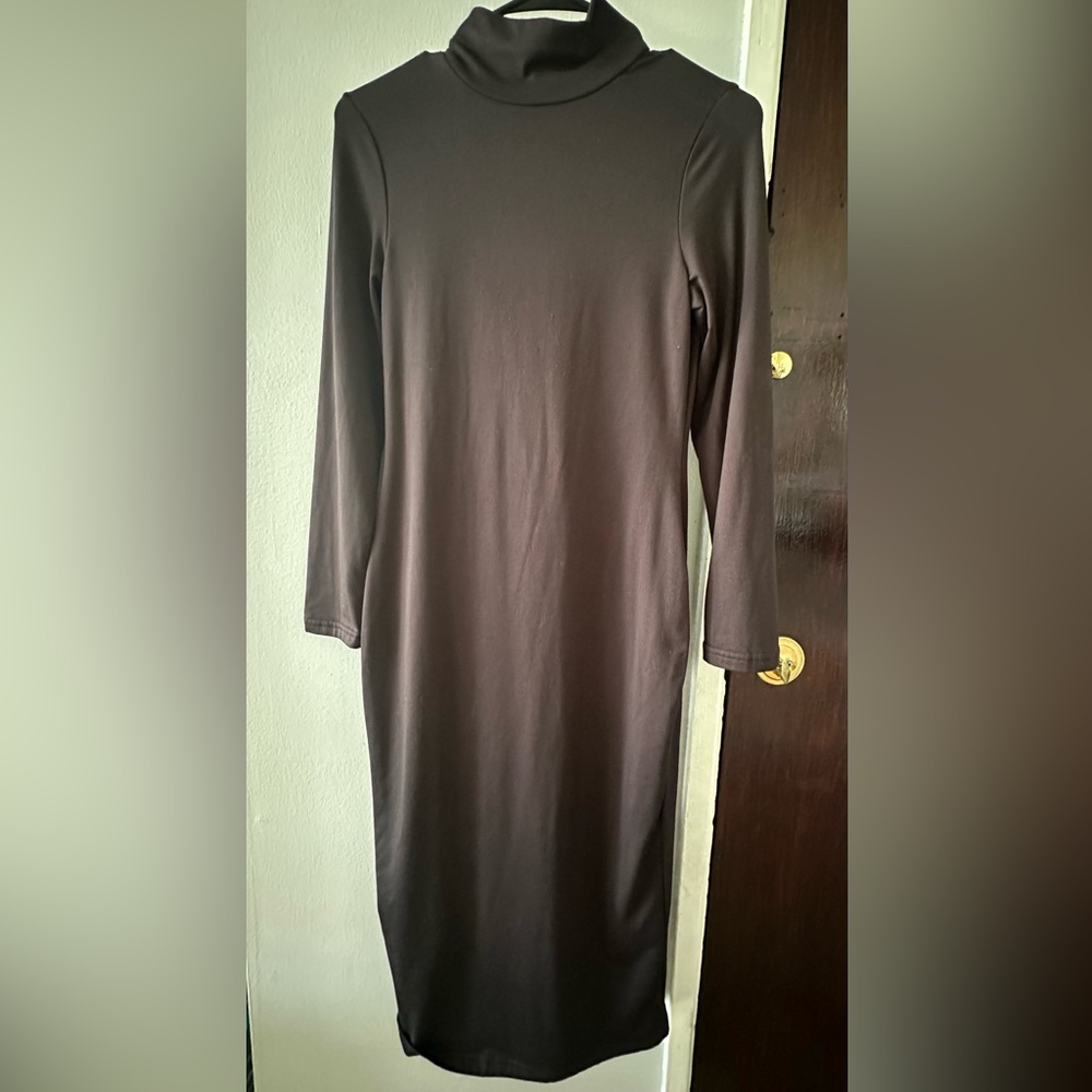 Black High turtle neck,long sleeve,back zipper dress